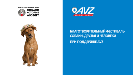 Благотворительный фестиваль «Собаки, друзья и человеки» при поддержке AVZ